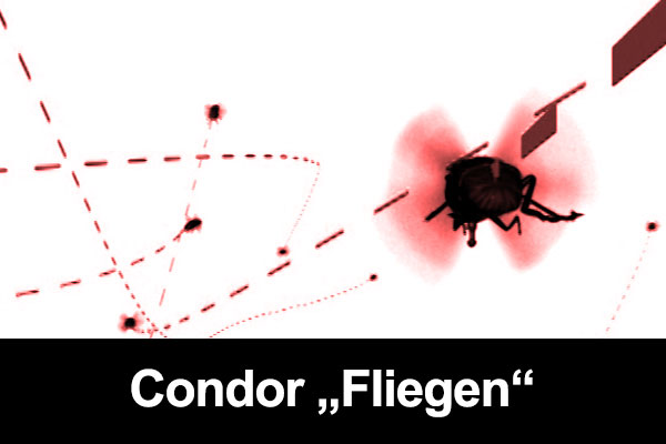 Commercial Condor "Fliegen"